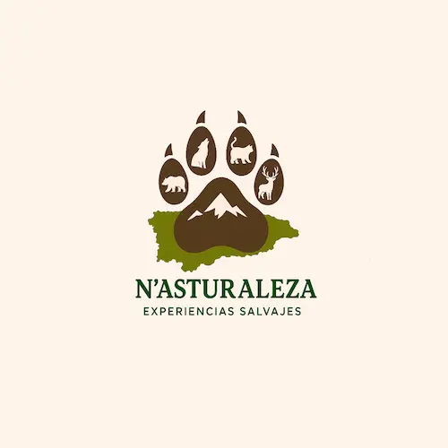 Logo N'asturaleza